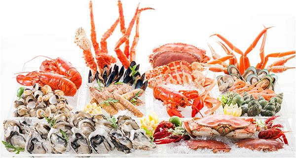 Seafood imports and exports of the new pattern of cold storage of seafood cold chain to be targeted